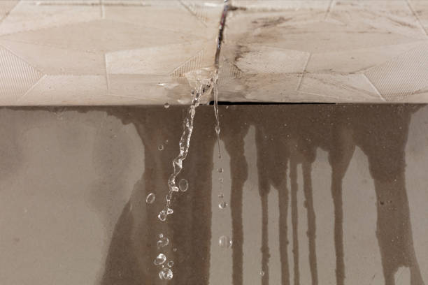 Professional Structural Drying technician working in Pikeville, TN